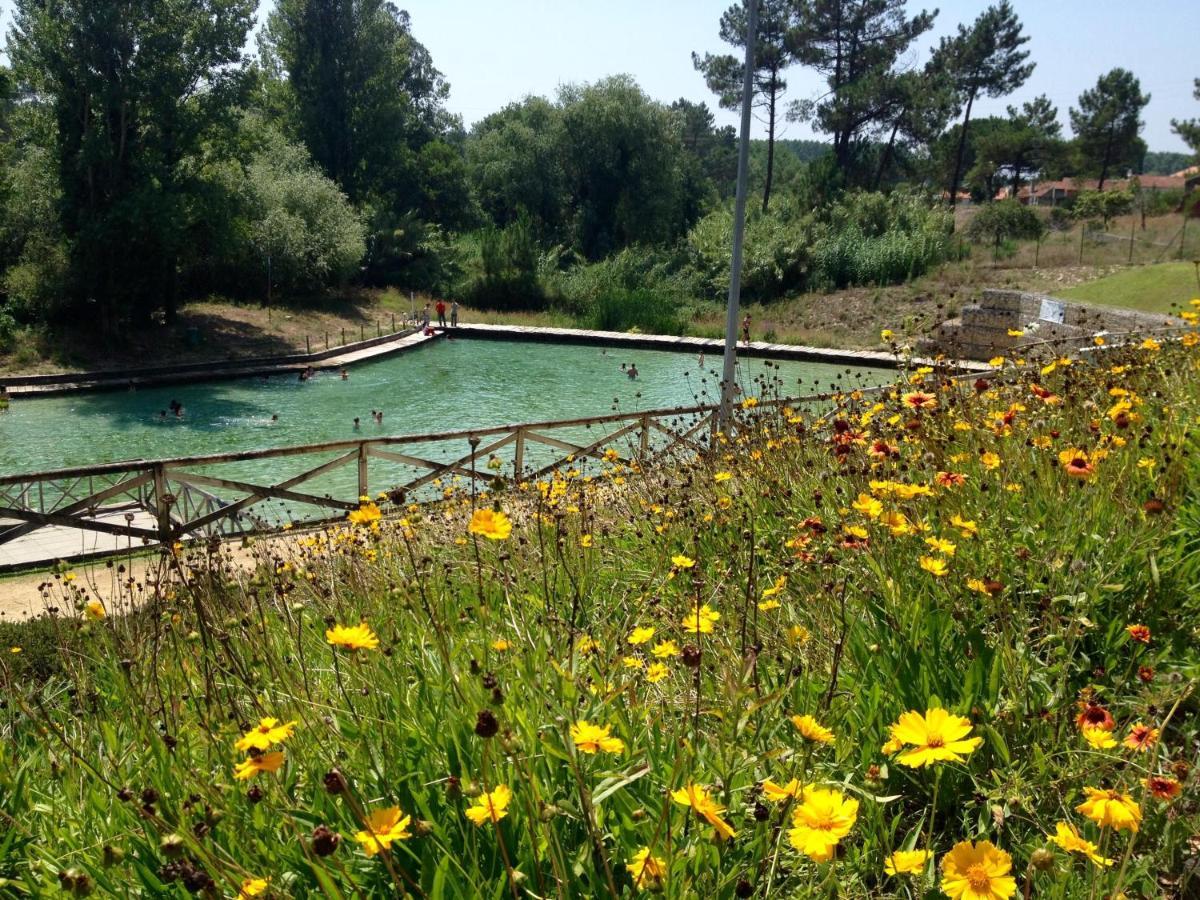 Bico Das Flores Praia de Mira Luaran gambar
